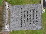 image of grave number 656091